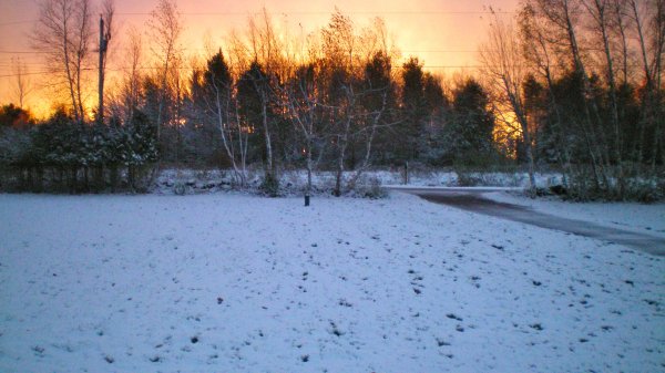 100_0005.JPG