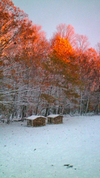 100_0007.JPG