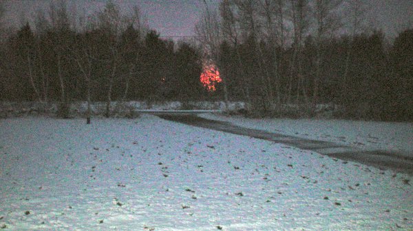 100_0008.JPG
