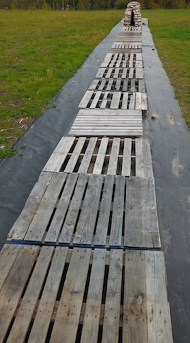 DSCF3608.JPG