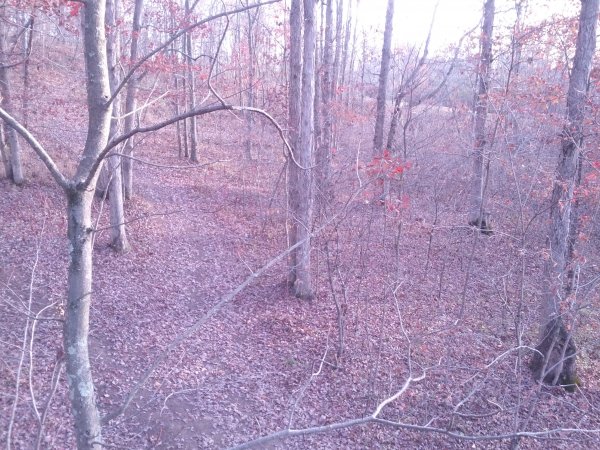 IMG_20141103_160608.jpg