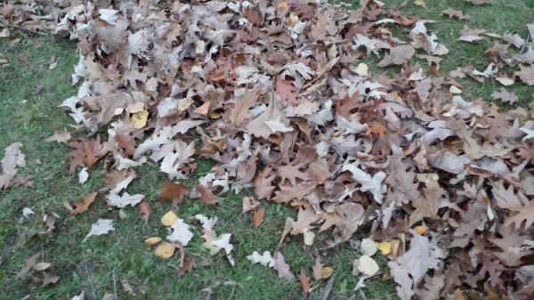 20141103_173343.jpg