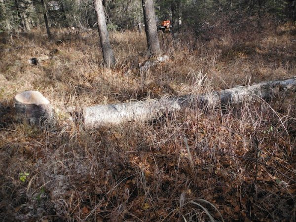 DSCF3786.JPG