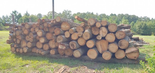 0802221645_HDR.jpg