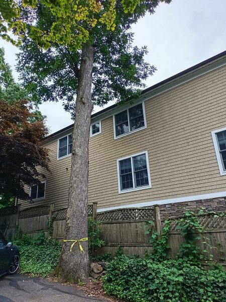 2022-06-27 15.49.39.jpg