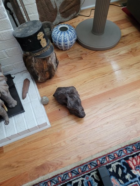 20220811_091533.jpg
