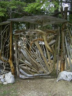 driftwood.jpeg