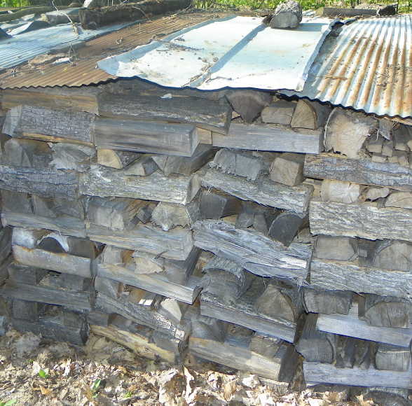 Old wood.JPG