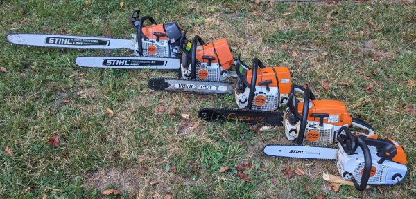 Stihl MSXX1 family Aug 2022.jpg