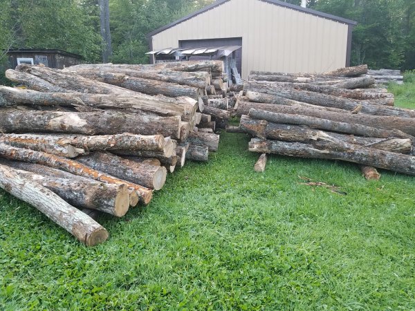 wood pile-1.jpg