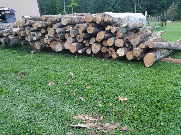 wood pile-2.jpg