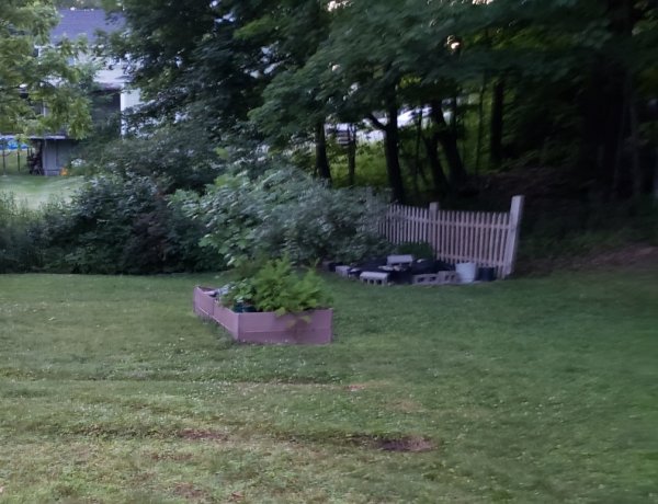 Raised bed and dirt pile before removal-cropped.jpg