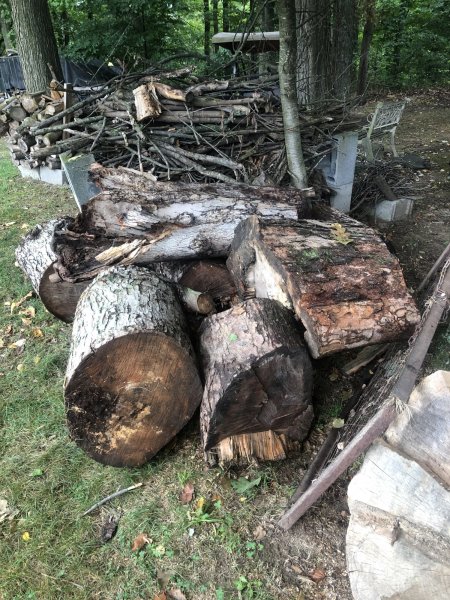 labor day firewood.JPG