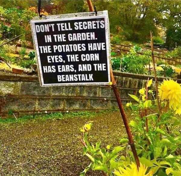 Secrets in Garden.jpg