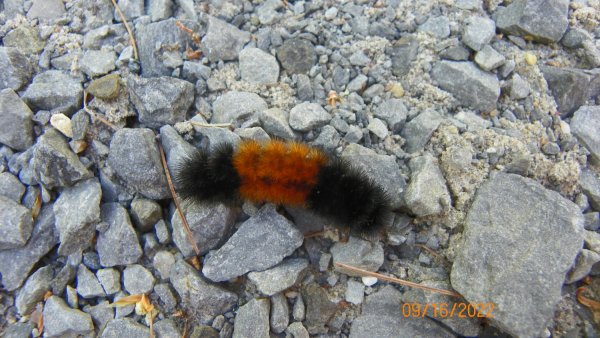 104_3253.JPG
