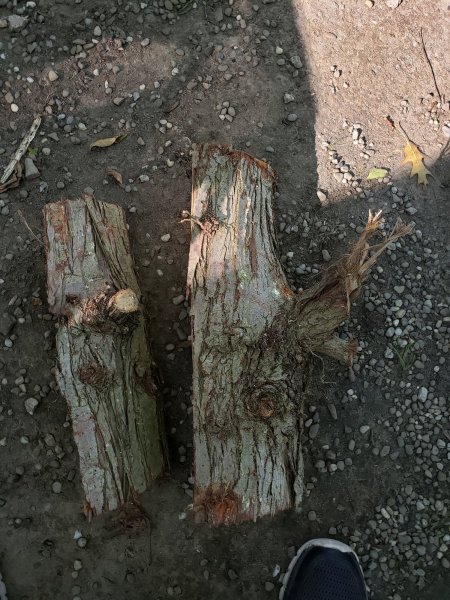 20220923_161809.jpg