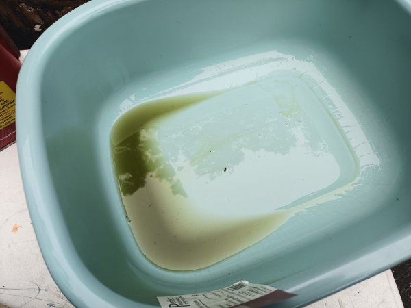 2022-10-01 15.34.24.jpg