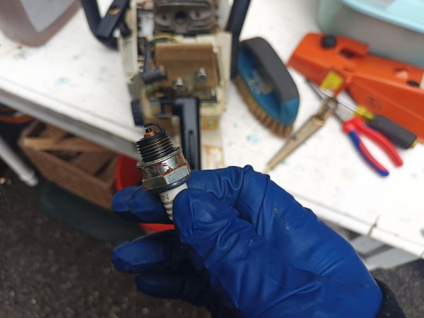 2022-10-01 15.39.50.jpg