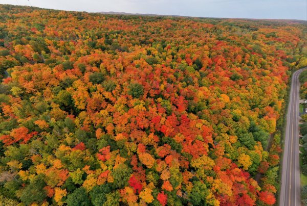 Houghton Mi 10-2022.jpg