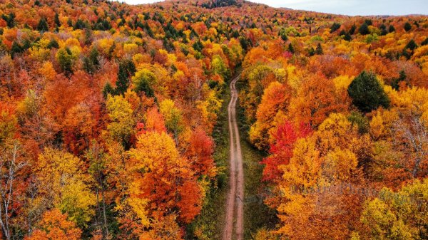 Near Lake Gogebic.jpg