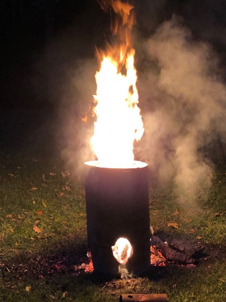 flaming hollow Beech.jpg