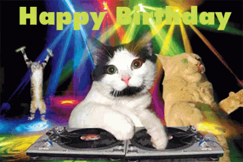 happy-birthday-cat-icegif.gif