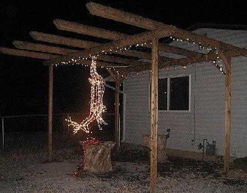 Redneck deer lights.jpg