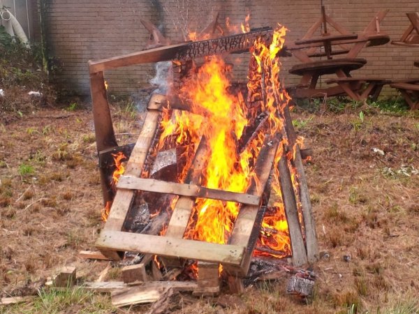 IMG_20141004_124700 (2).jpg