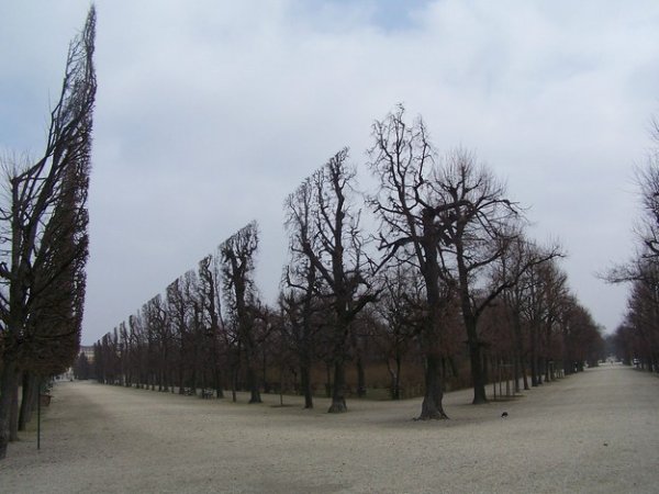 treecutting.jpg