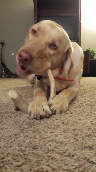 20140730_214056.jpg