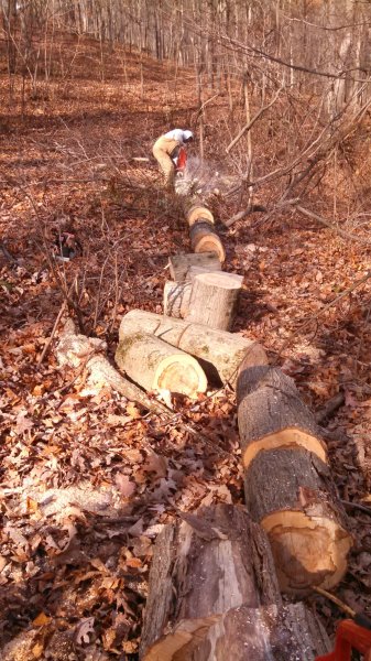 IMG_20141115_130835_247.jpg