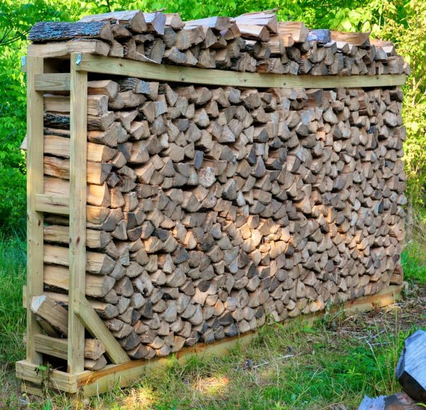 DSC_0040 (1200x1155).jpg