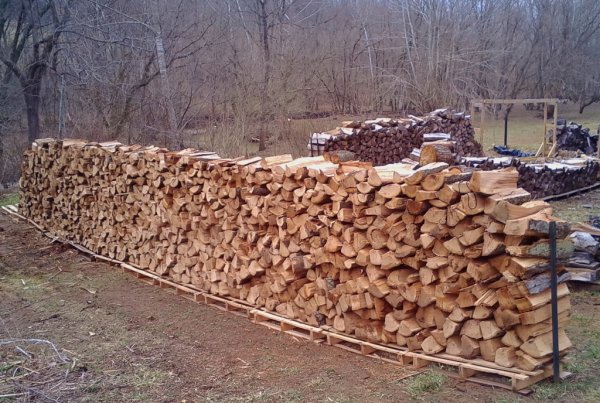 KIMG0002 (1024x688).jpg