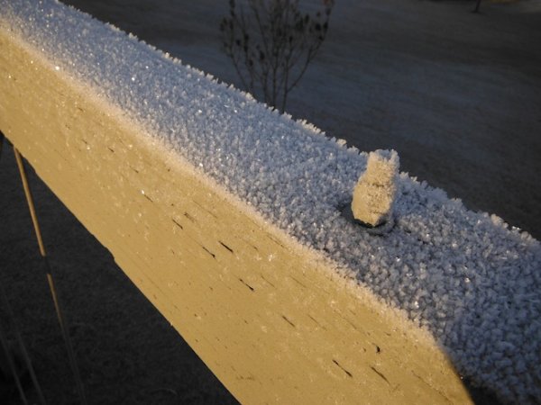 DSCF4350.JPG