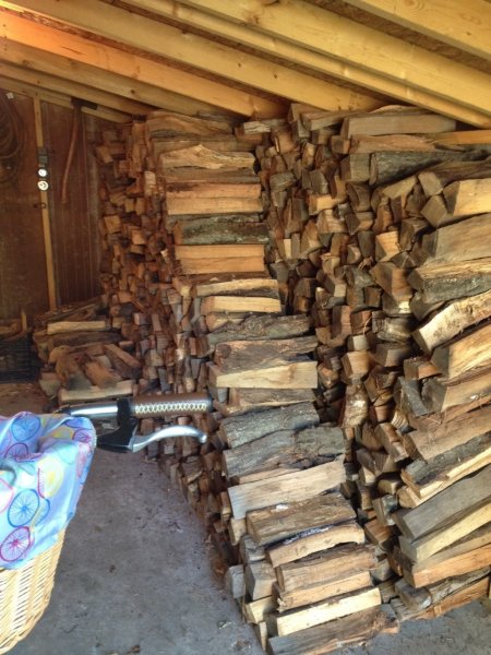 Wood shed.jpg