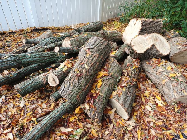 2022-10-26 13.31.31.jpg