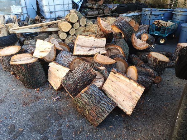 2022-11-07 15.52.51.jpg