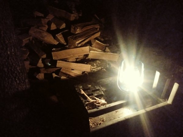 1108221826_Film2.jpg
