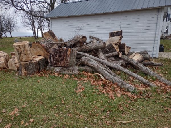 woodpile 2.jpg