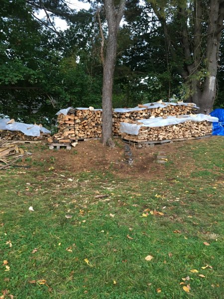 firewood1.jpg