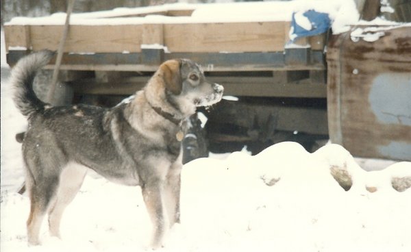 Niki in Snow.jpg