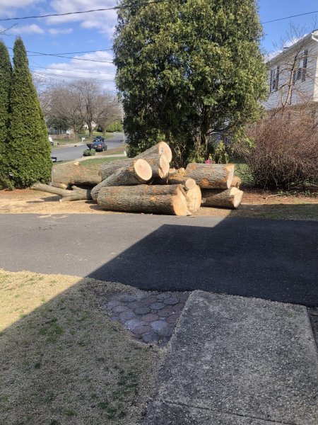 logs.jpg