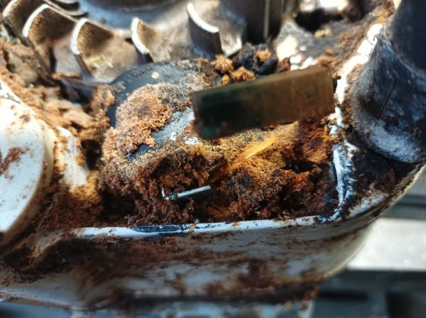 2022-11-30 09.17.19.jpg