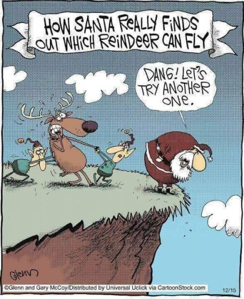 Which reindeer will fly.jpg