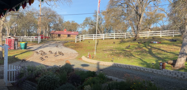 Screenshot 2022-12-16 231259.png