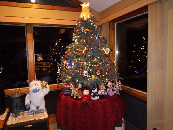 IMG_20221217_054117.jpg