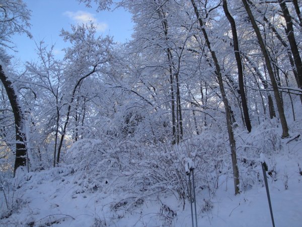 DSC04292.JPG