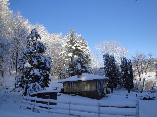 DSC04294.JPG