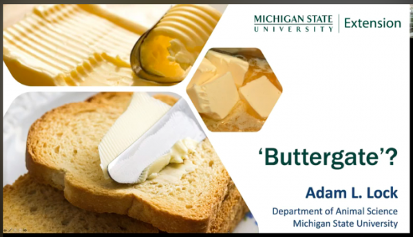 Screen Shot 2022-12-19 at 10.47.40 AM.png