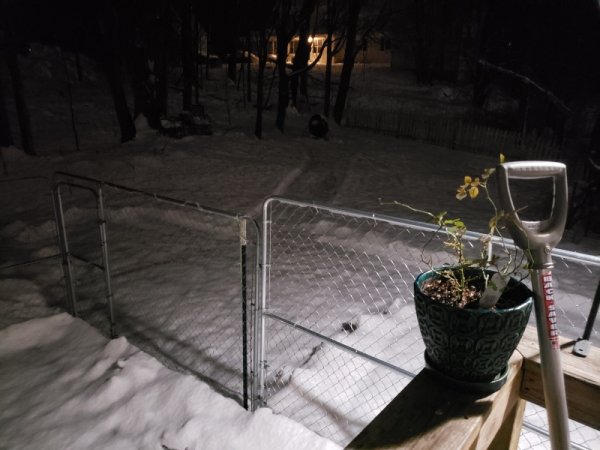 snow towards compost.jpg